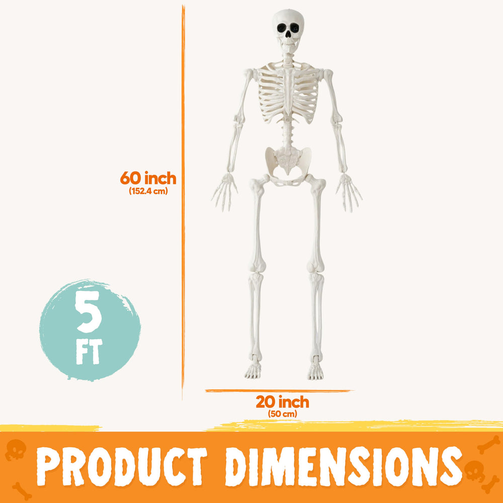 Detailed view of JOYIN Skeleton's realistic texture