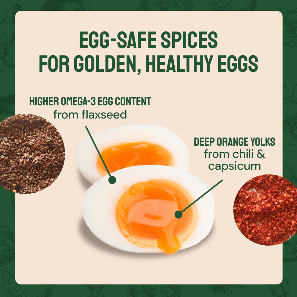 Detailed view of mealworm texture and spice coating