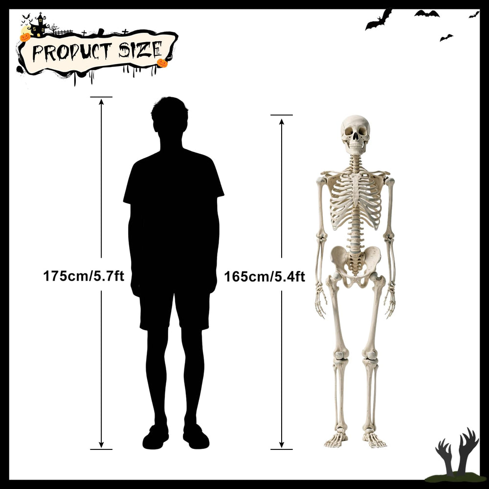 Detailed view of Oddwaxs skeleton's posable joints