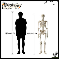 Detailed view of Oddwaxs skeleton's posable joints