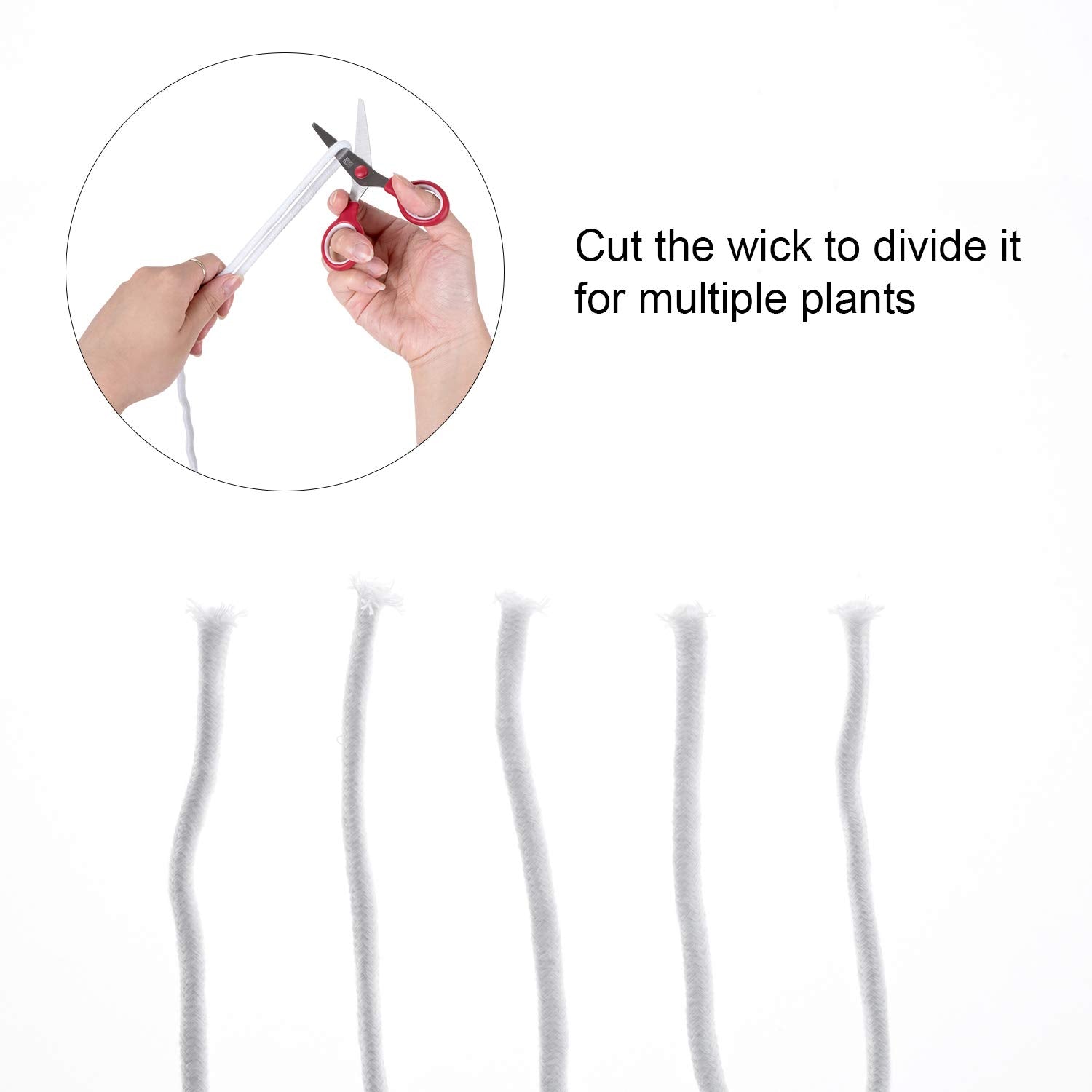Detailed view of ORIMERC self-watering cord length