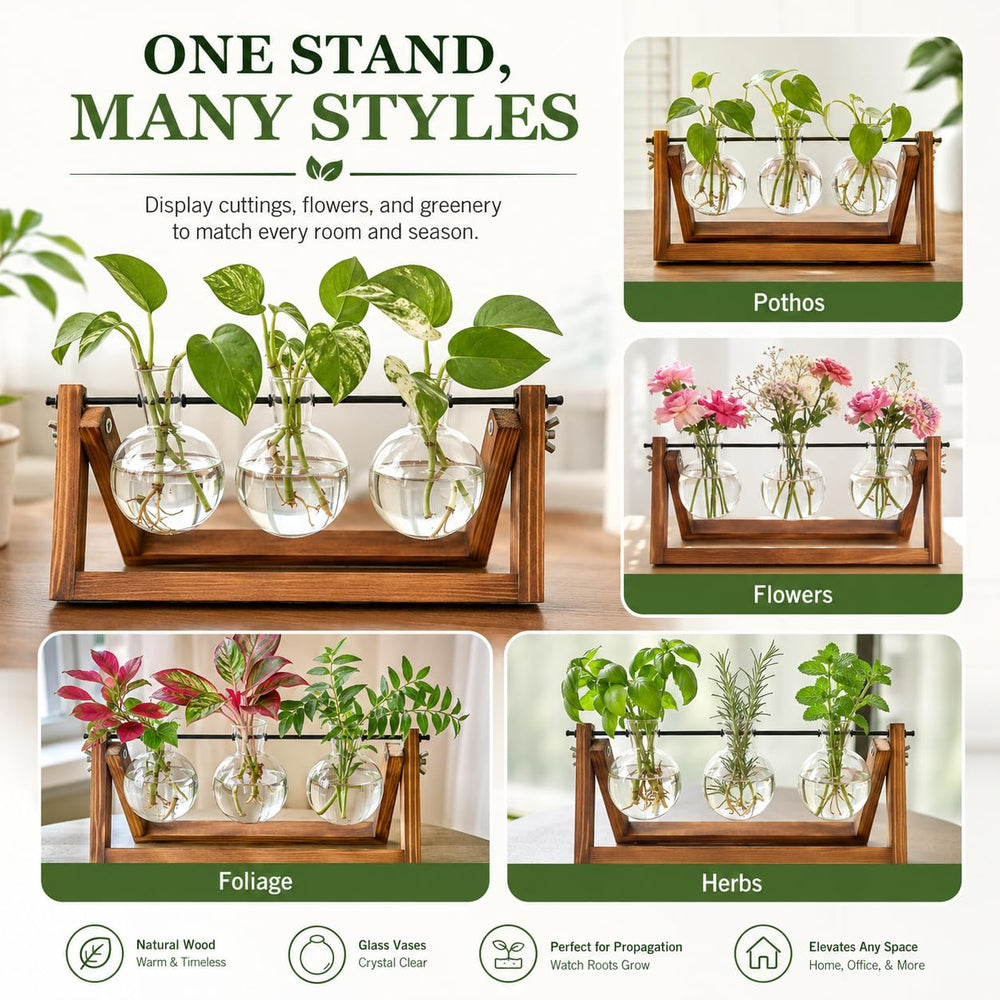 Detailed view of Renmxj wooden frame for plant propagation