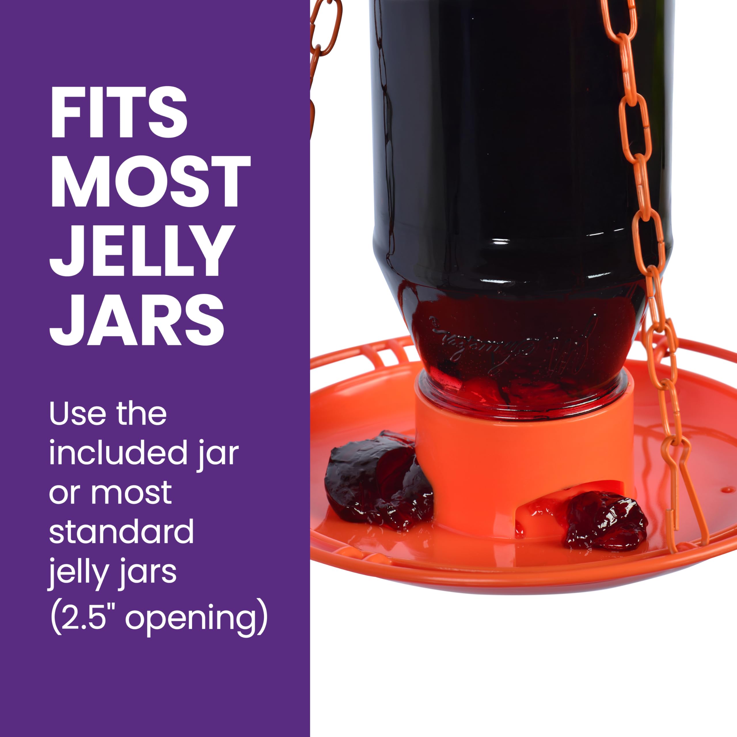Detailed view of the 32oz capacity jar on the feeder