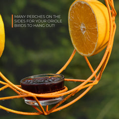 Detailed view of the jelly feeder cup on the MEKKAPRO Baltimore Oriole Feeder