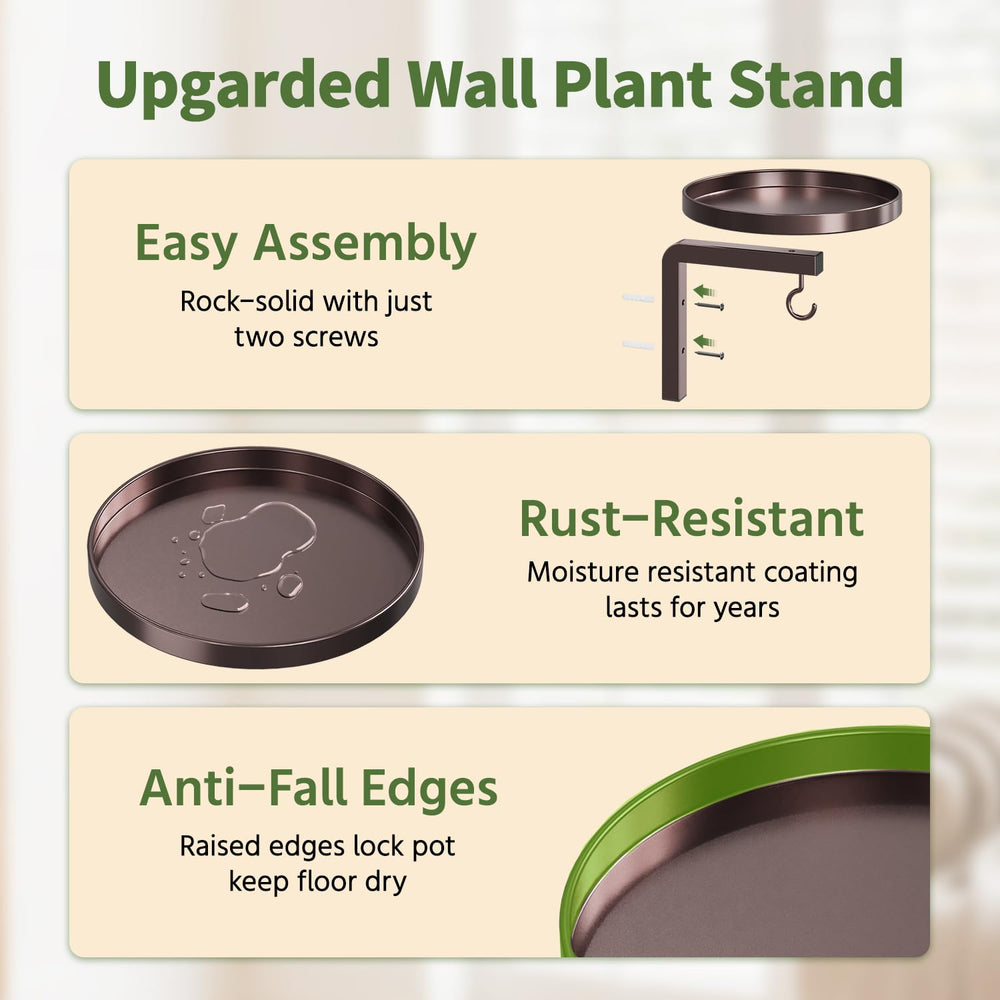 Detailed view of the LED grow lights on the LASZOLA plant holder