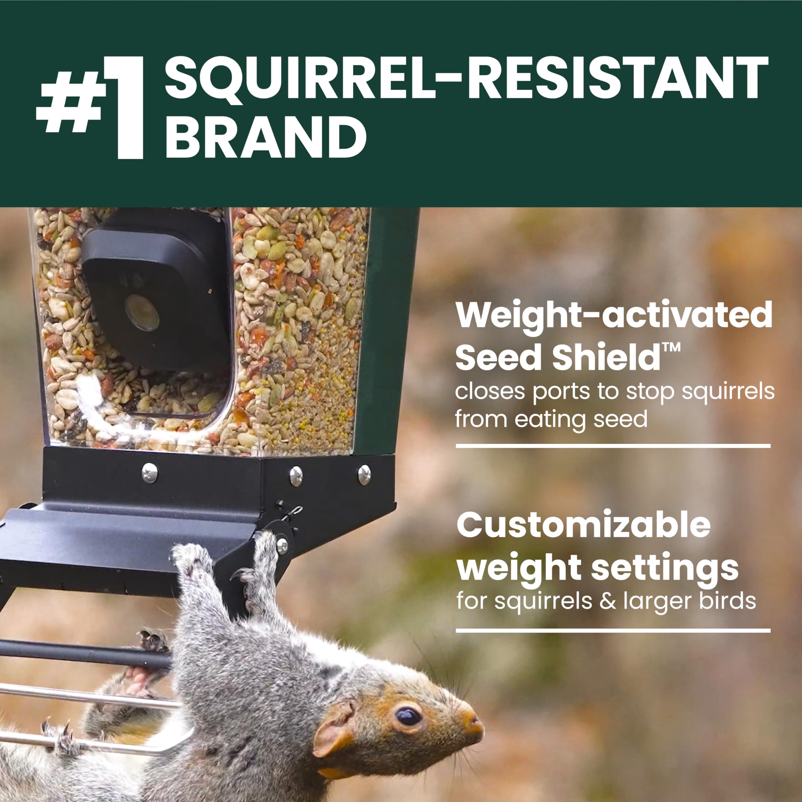 Detailed view of the squirrel-resistant design on the bird feeder