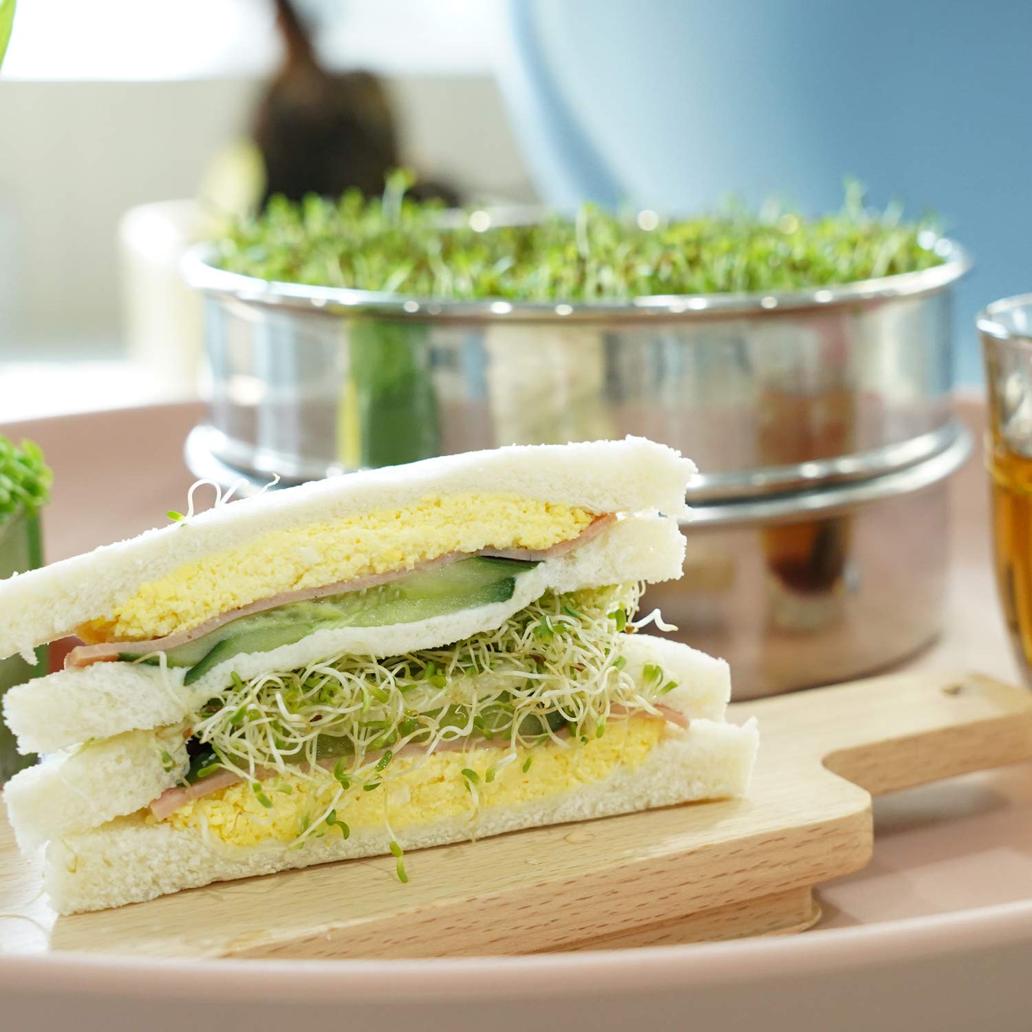 Detailed view of the stainless steel base tray with fine mesh