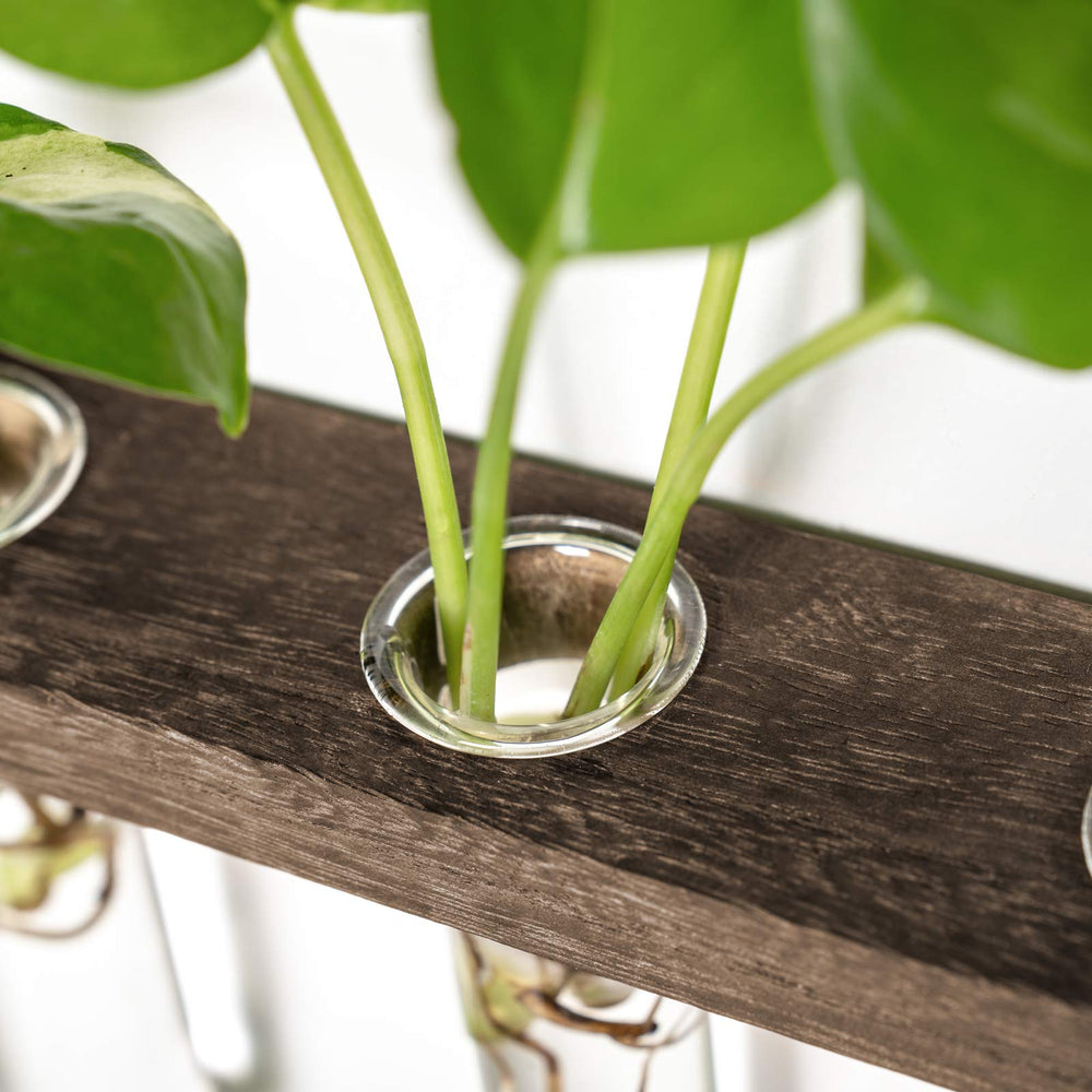 Detailed view of wooden stand of Mkono Plant Propagation Station