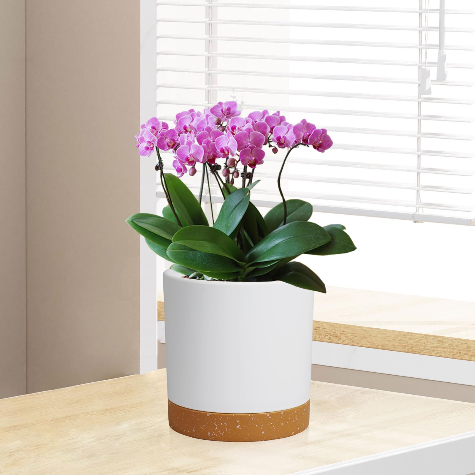 Detailed view of WSMKSZ flower pot's matte frosted surface