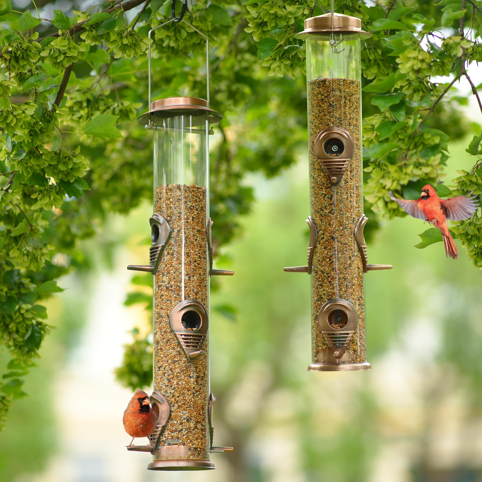Details of MIXXIDEA Metal Bird Feeders with birds feeding