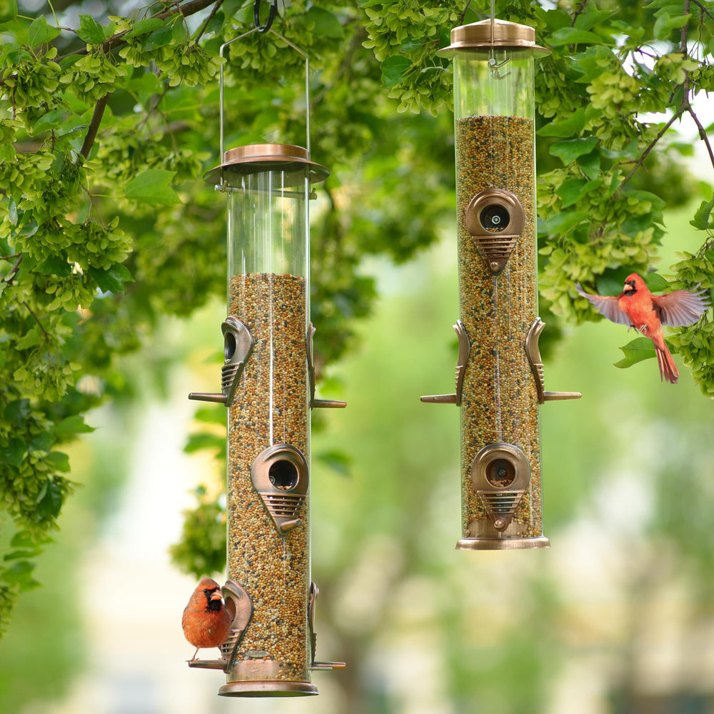Details of MIXXIDEA Metal Bird Feeders with birds feeding