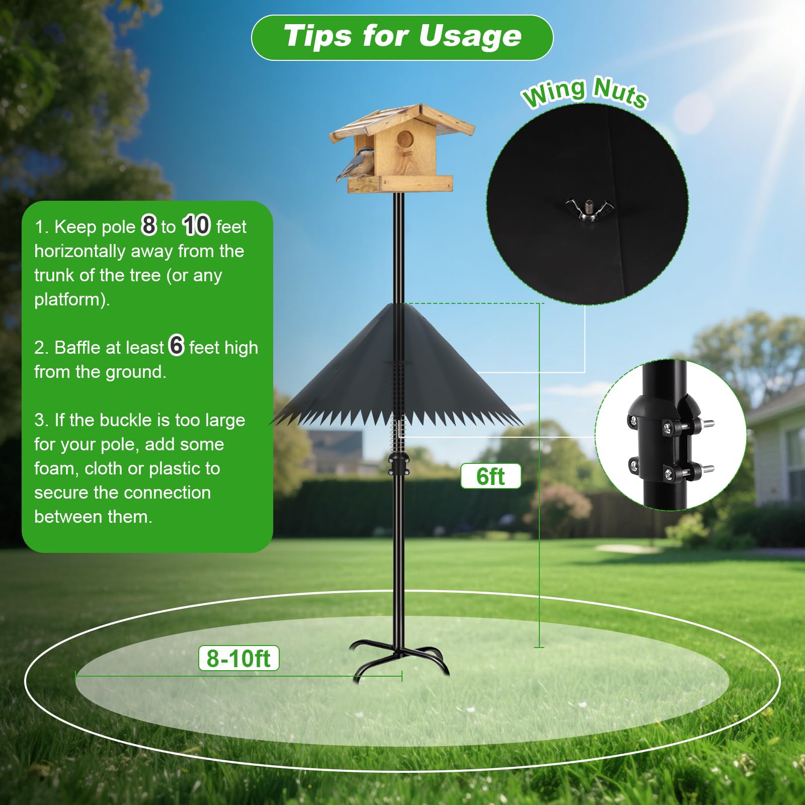 Detoypapa squirrel baffle in a garden setting