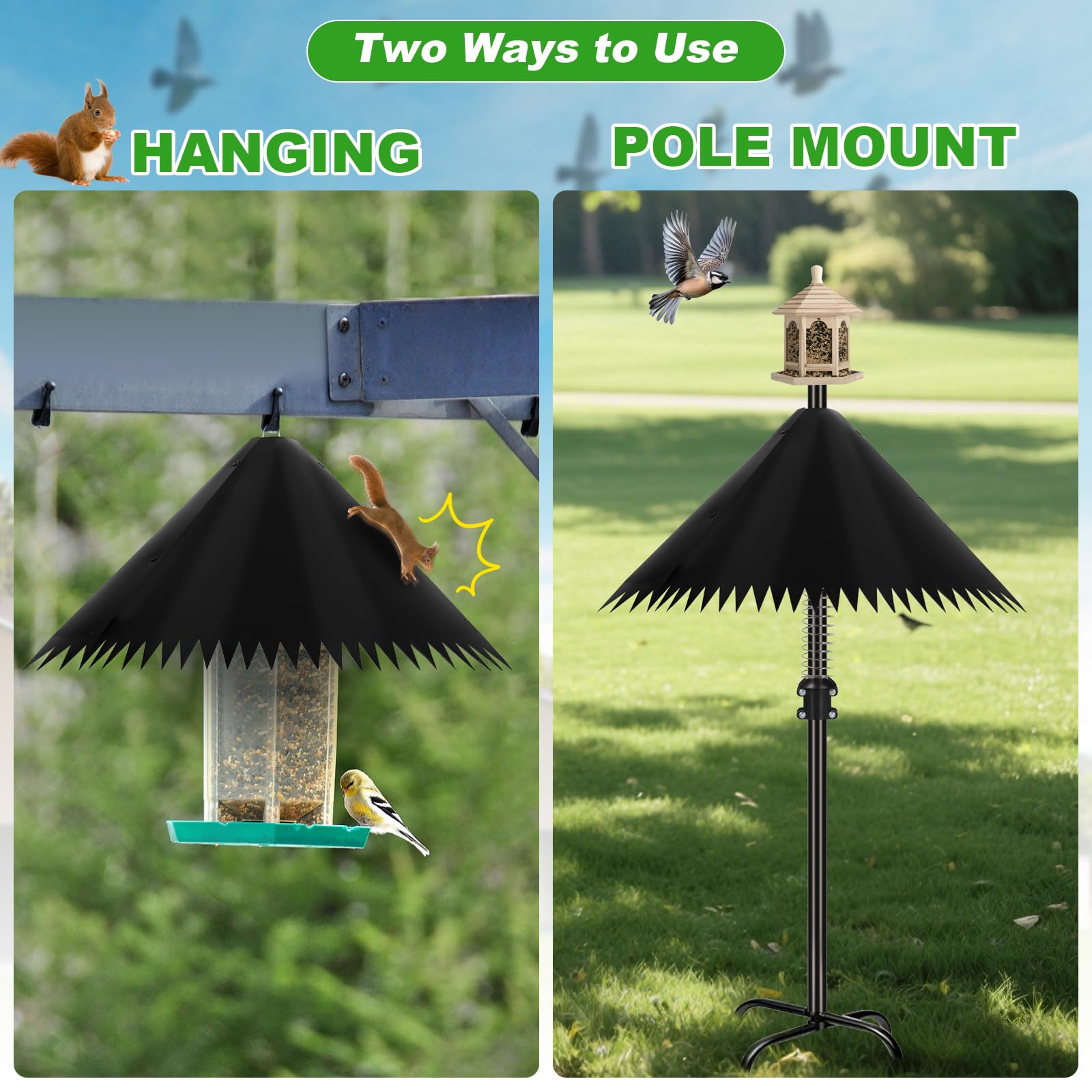 Detoypapa squirrel baffle showing 19-inch diameter