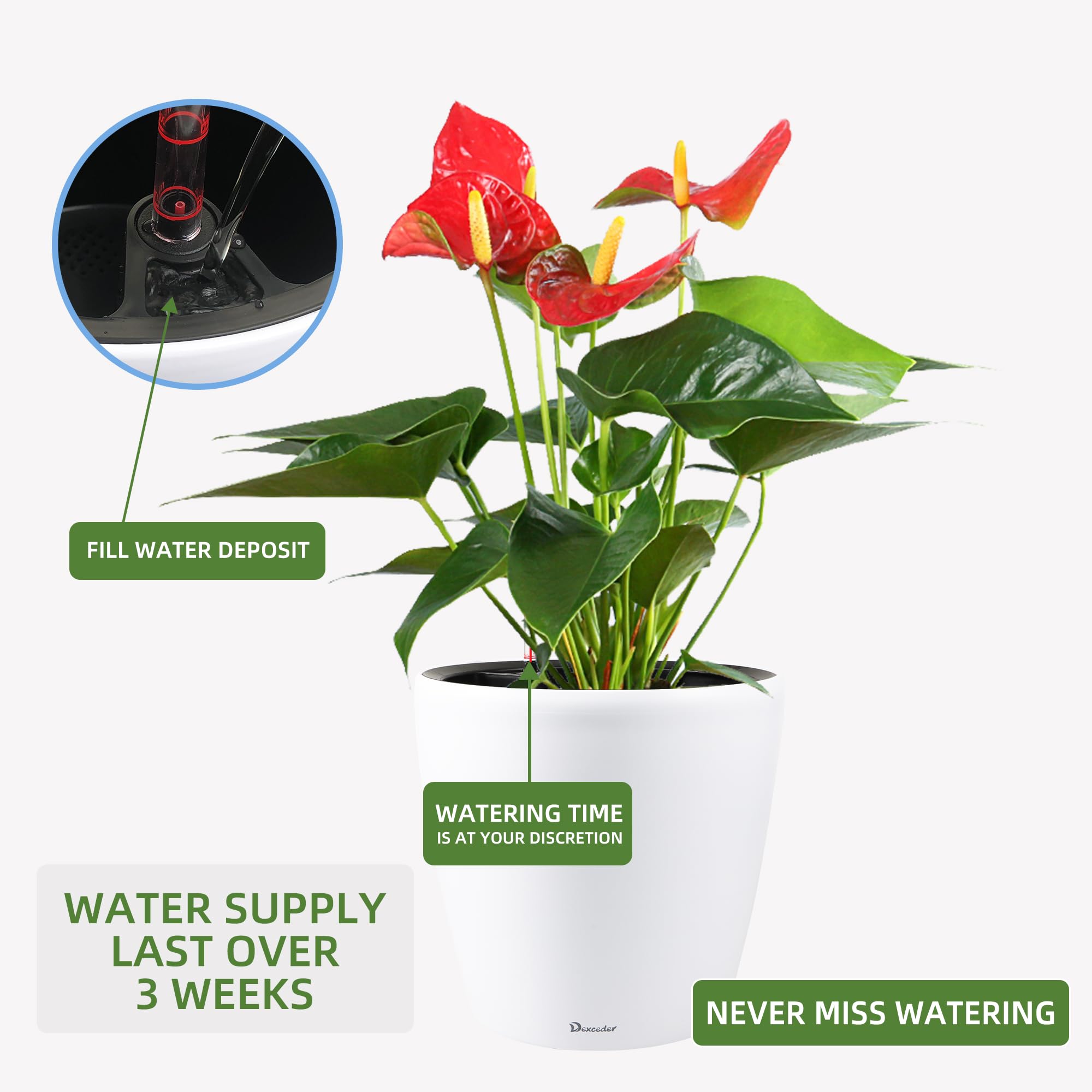 Dexceder Self Watering Planter in garden setting