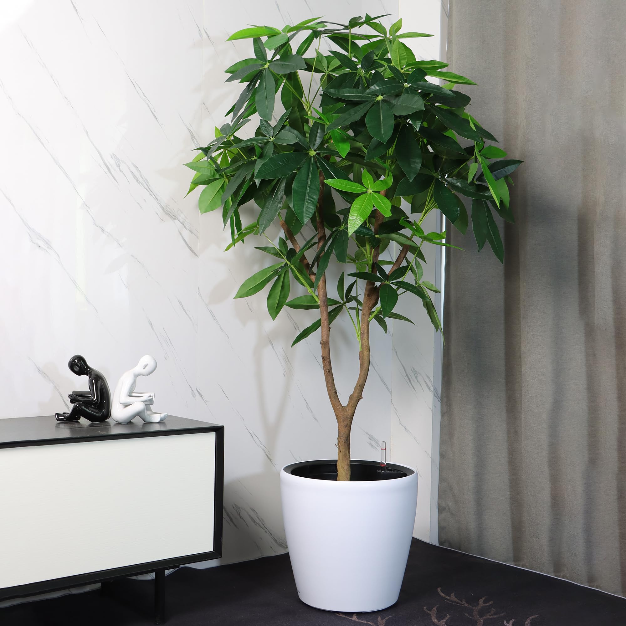 Dexceder Self Watering Planter with plants inside