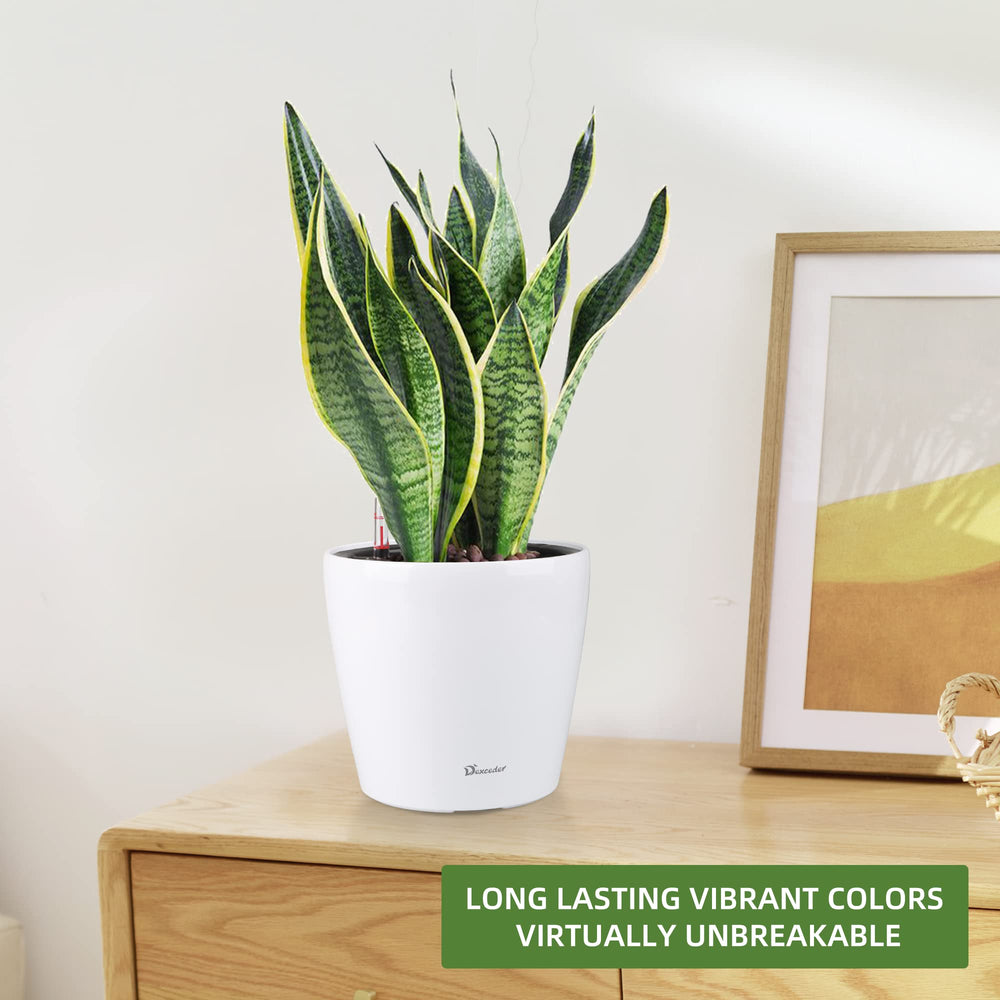 Dexceder Self Watering Planter with various plants