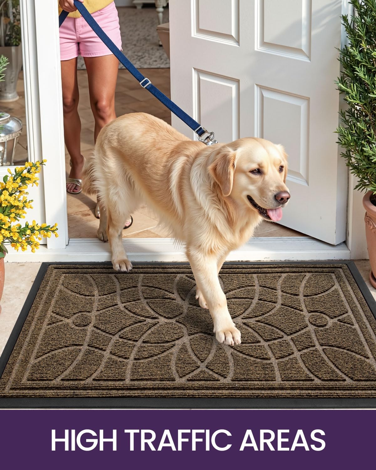 DEXI Front Door Mat easy to clean with hose