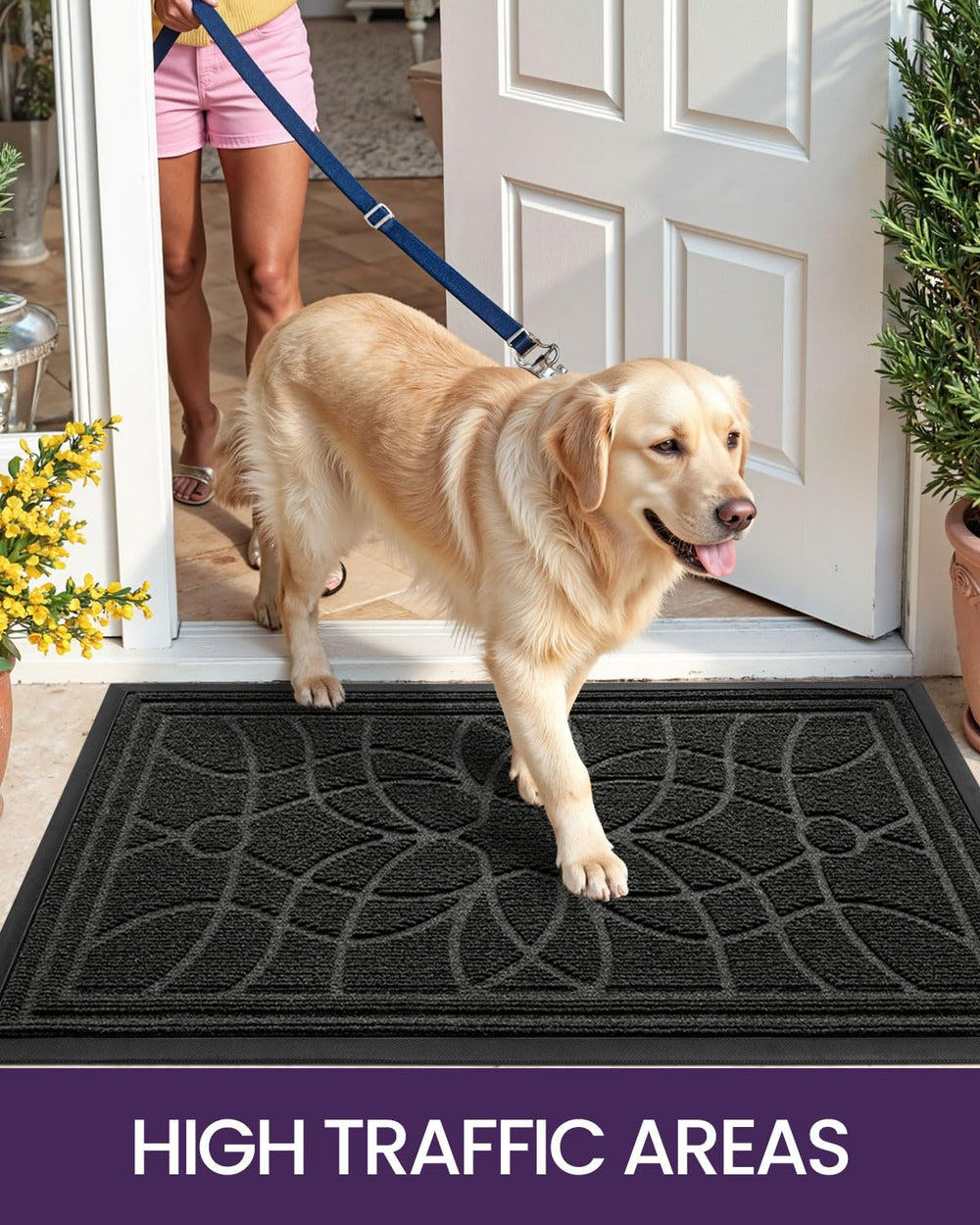 DEXI Front Door Mat in front of an entrance