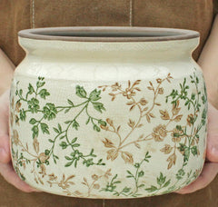 Diatomaceous earth saucer under the ceramic plant pot