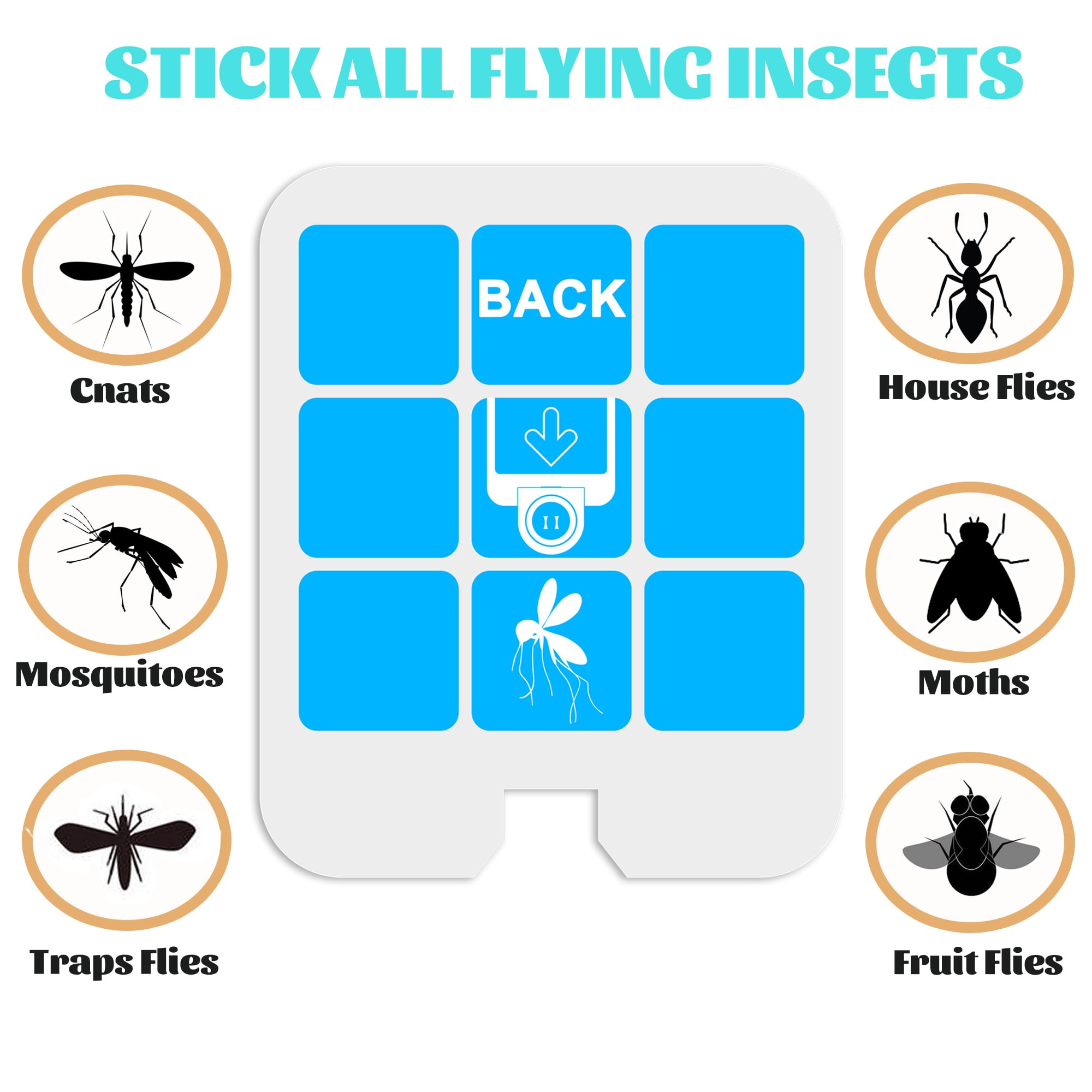 Dickinda glue cards displayed on a flat surface