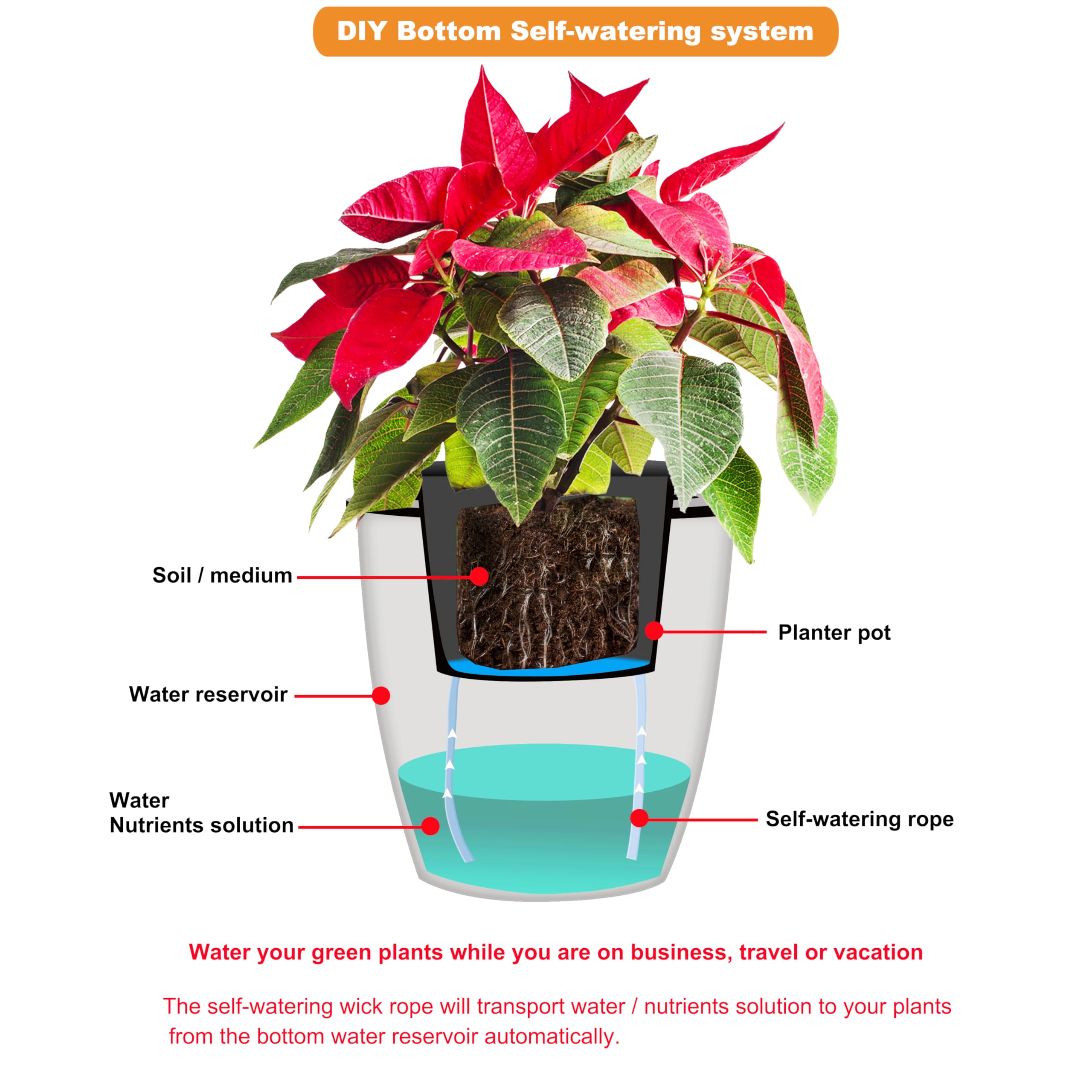 Different angles of ORIMERC self watering rope