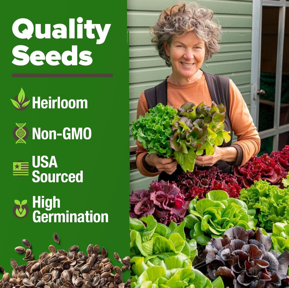 Different lettuce seeds including Romaine and Iceberg