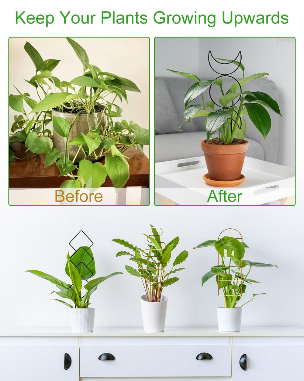 Different shapes of Whtawtaw plant trellis set displayed
