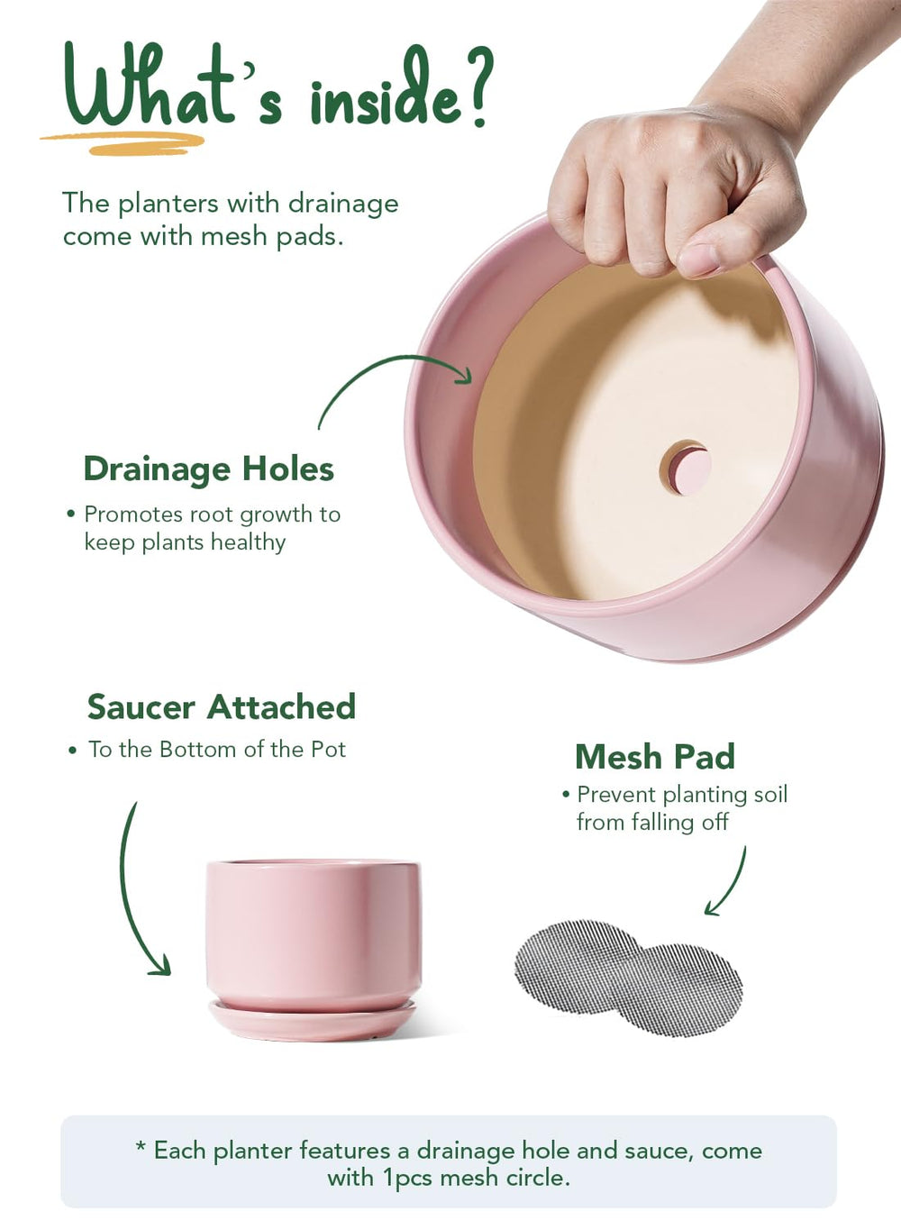 Different sizes of LE TAUCI ceramic pots for plants