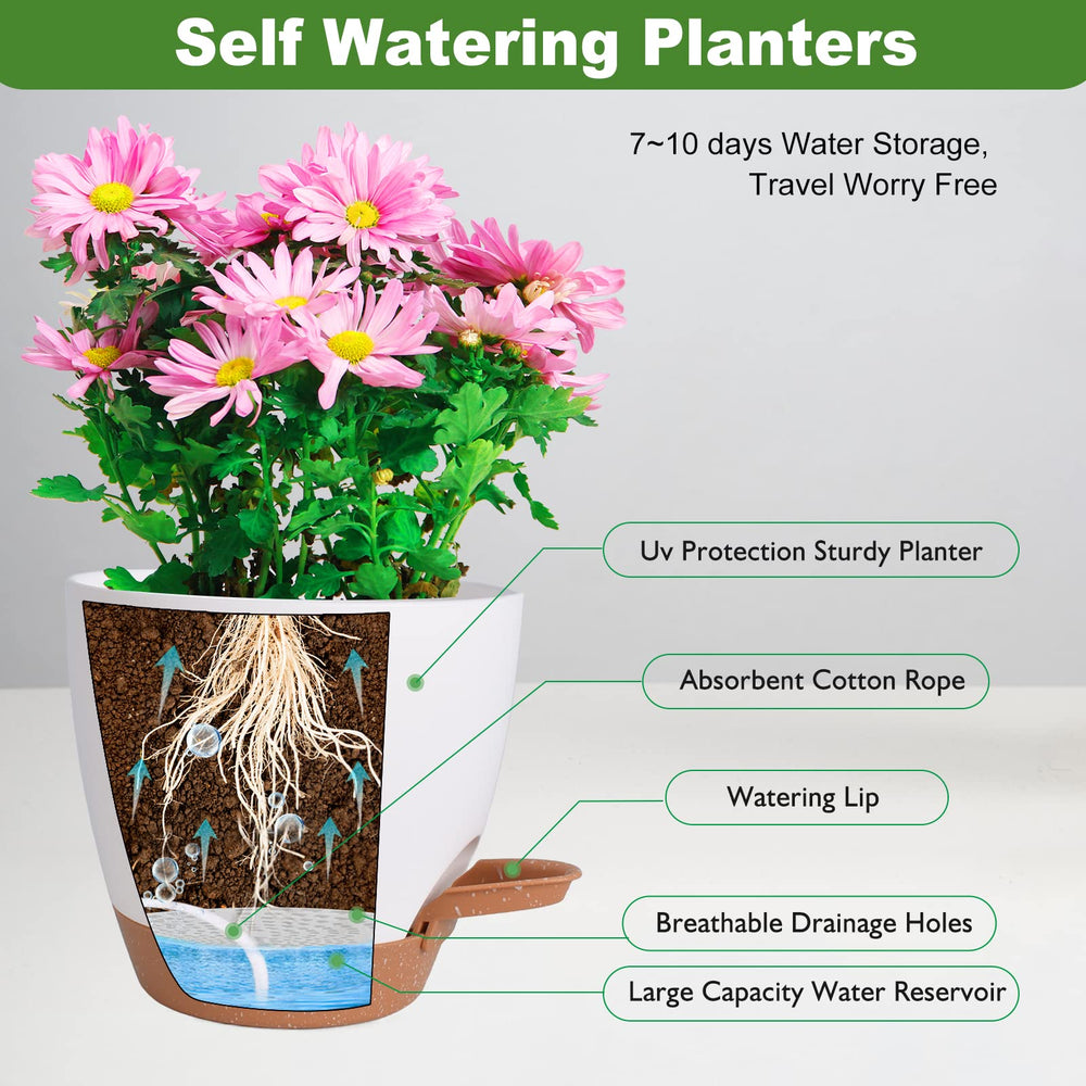 Different sizes of Vanslogreen self watering pots arranged together