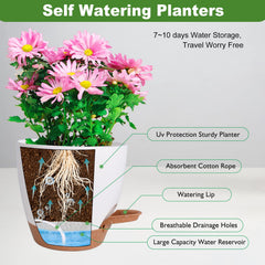 Different sizes of Vanslogreen self watering pots arranged together
