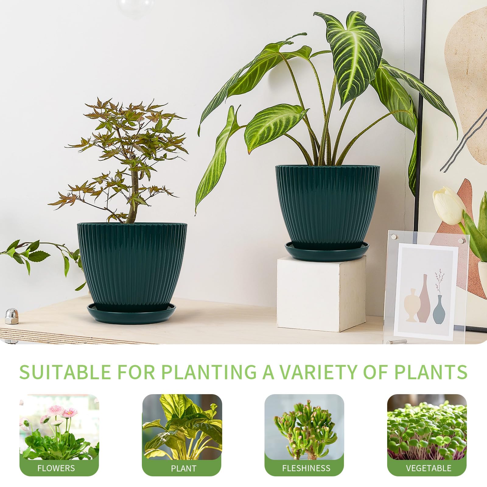 Different sizes of Vodotion pots displayed together