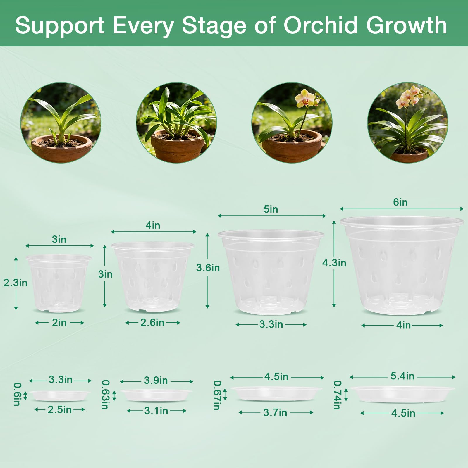 Different sizes of WTXHOP clear orchid pots side by side