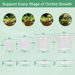 Different sizes of WTXHOP clear orchid pots side by side