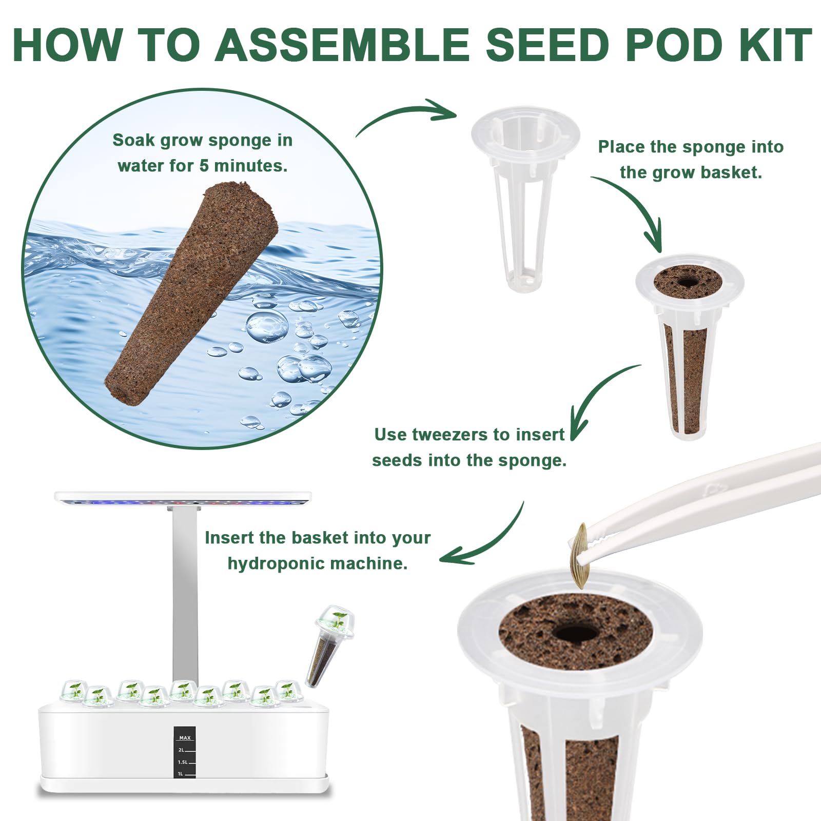 Different types of lettuce seeds included in the kit