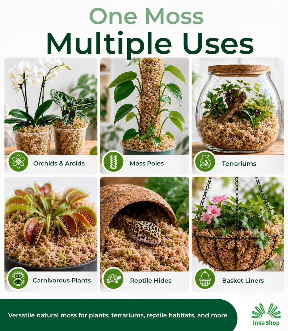 Different uses of INKA SHOP sphagnum moss in gardening
