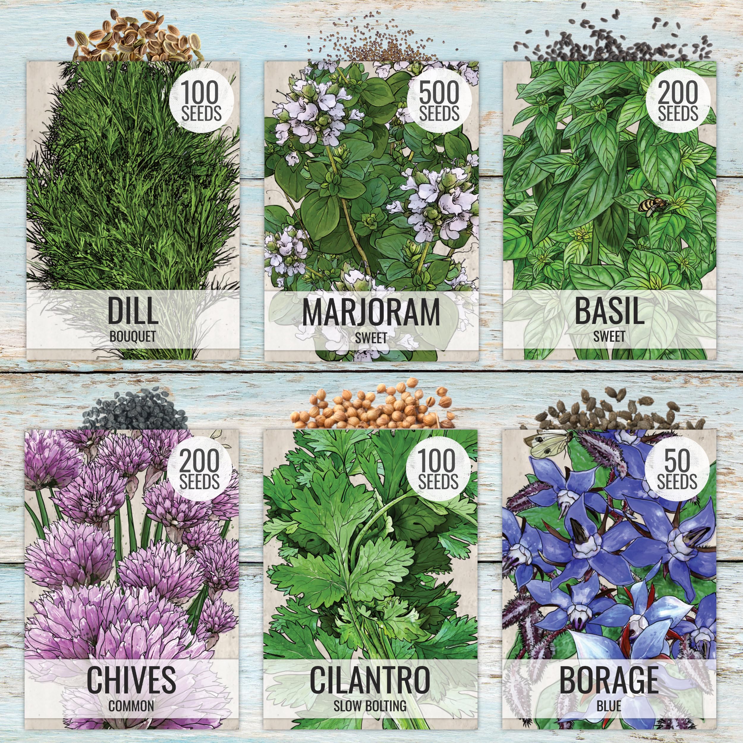 Dill seeds packet featuring artful illustration