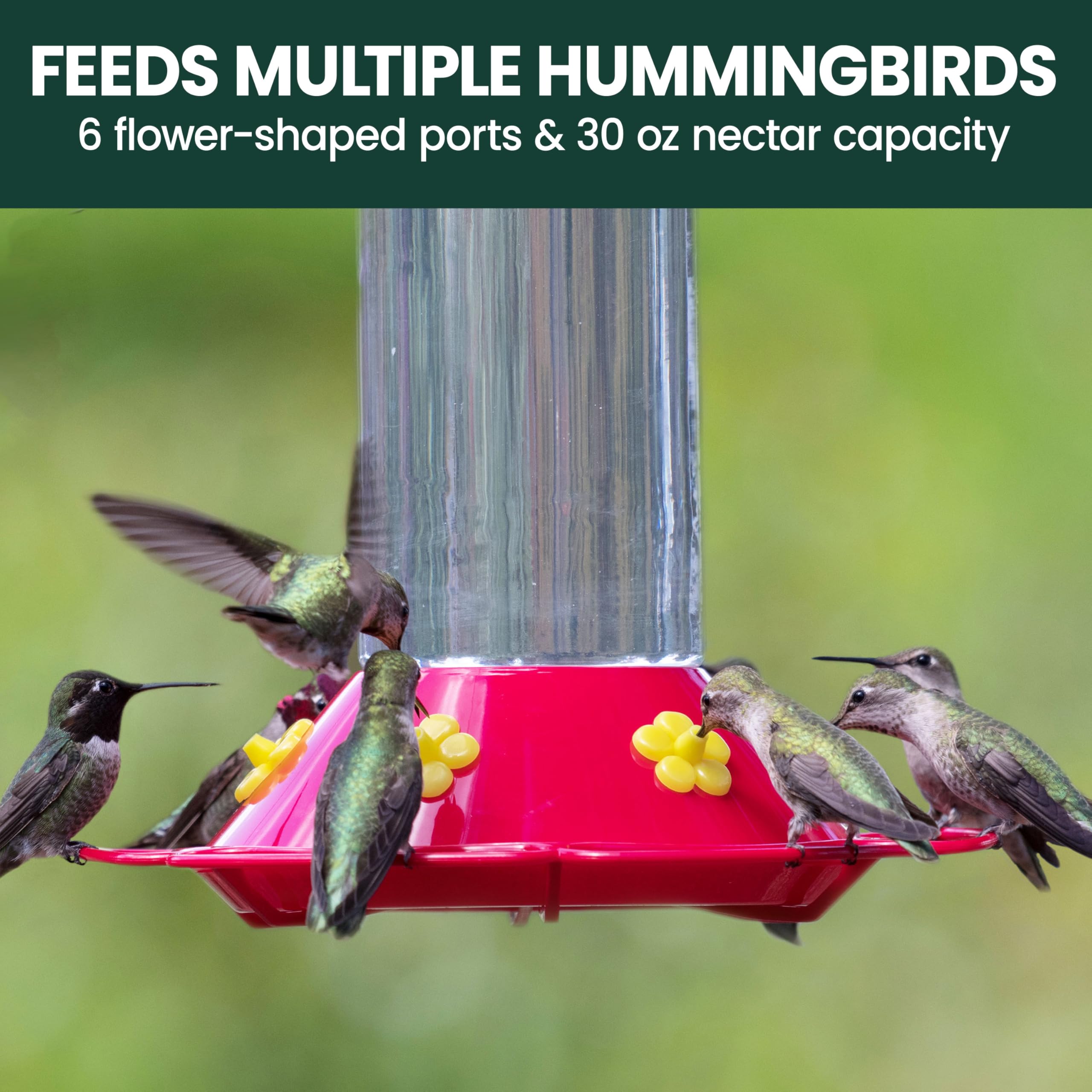 Dimensions of Perky-Pet Hummingbird Feeder displayed on packaging