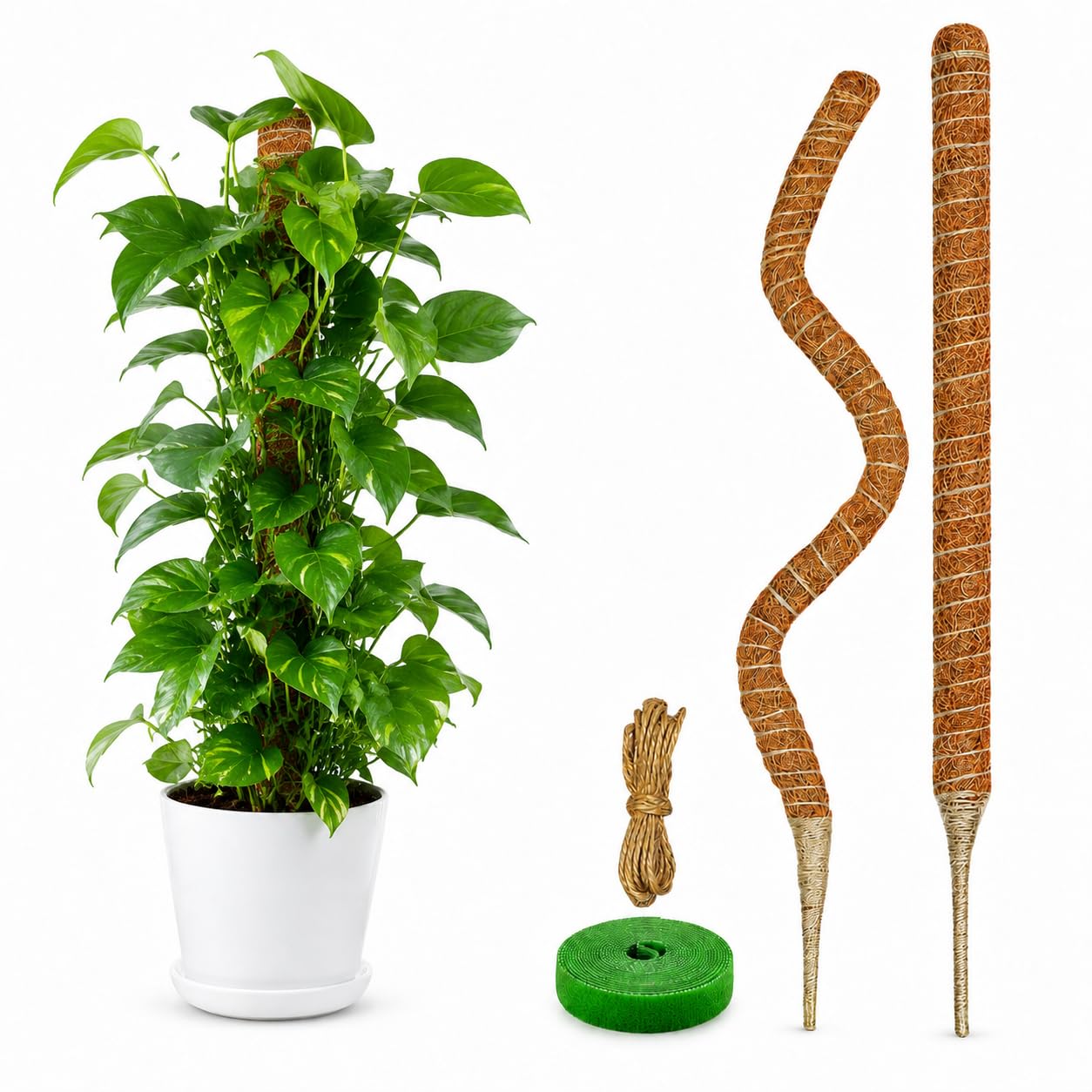 Dimpoo 28-inch moss pole with coconut coir texture