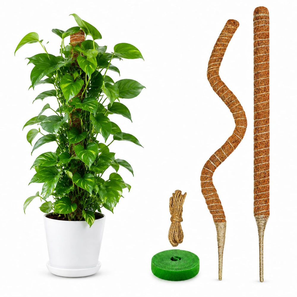 Dimpoo 28-inch moss pole with coconut coir texture