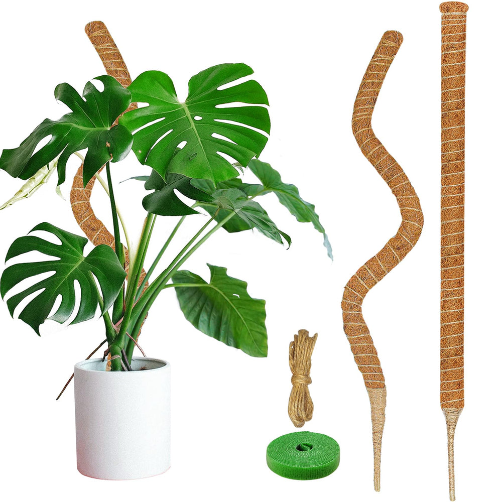 Dimpoo 47-inch moss pole front view with coir wrapping