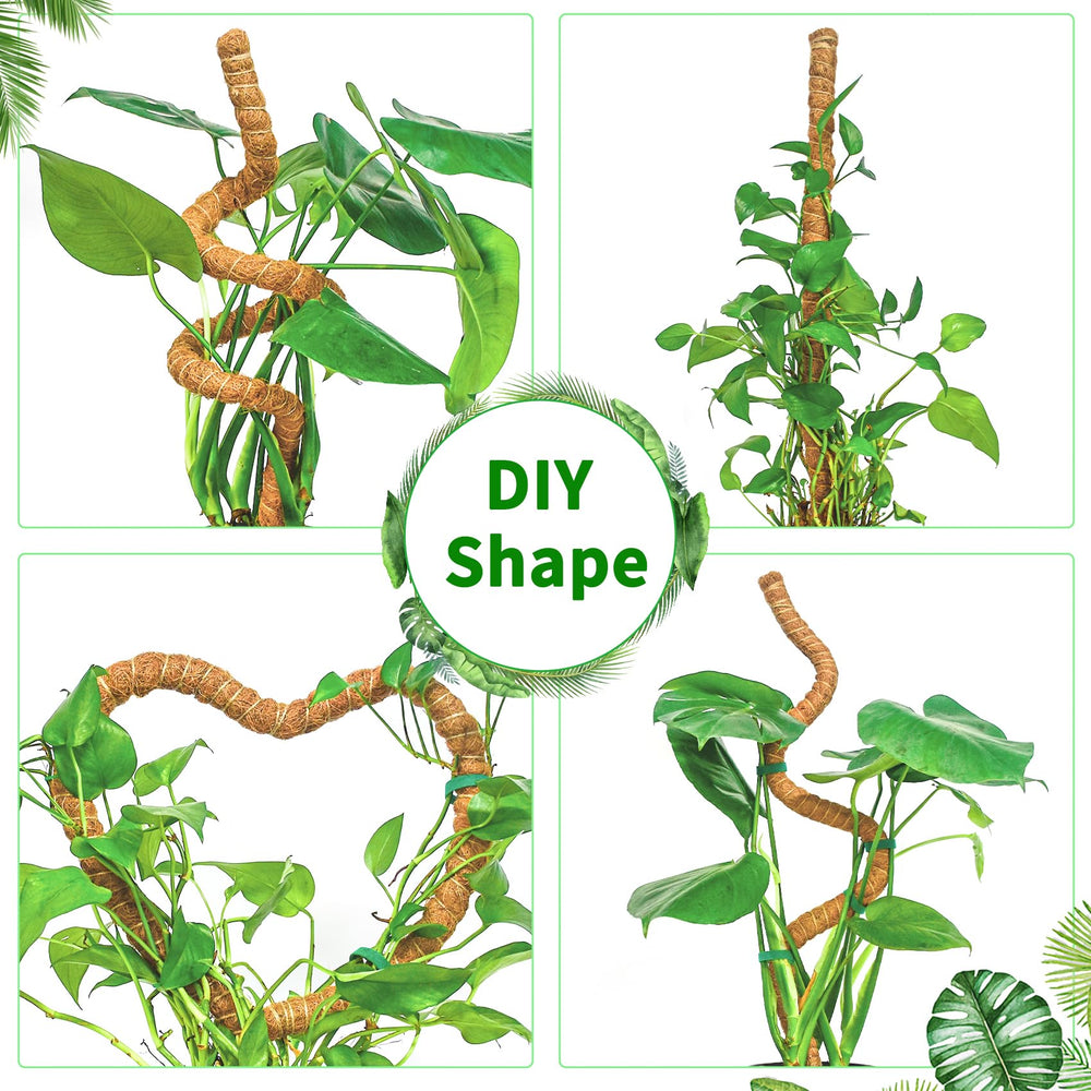 Dimpoo moss pole in a plant pot supporting a Monstera