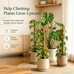 Dimpoo moss pole packaged with two poles and accessories
