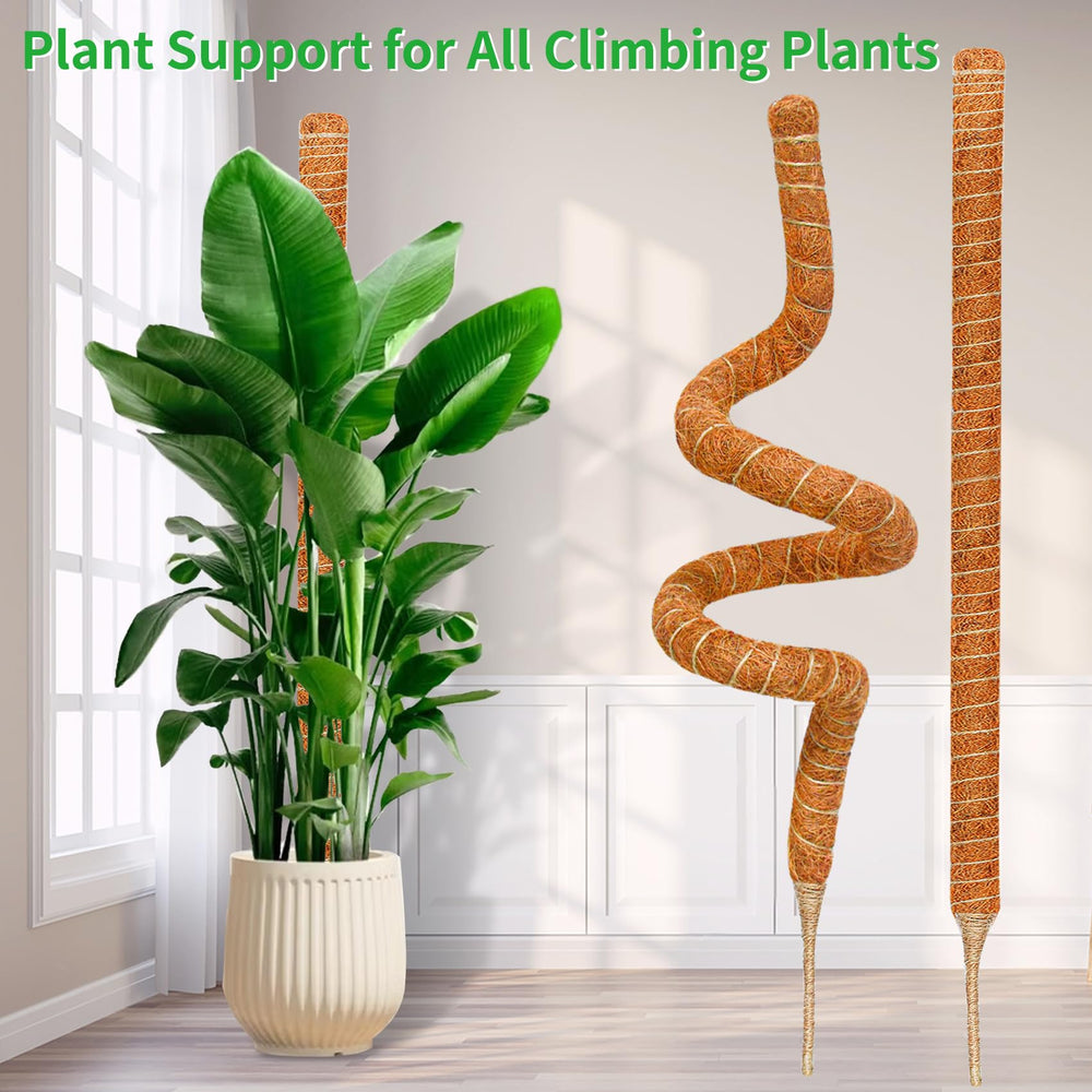 Dimpoo moss pole set with additional accessories on a table