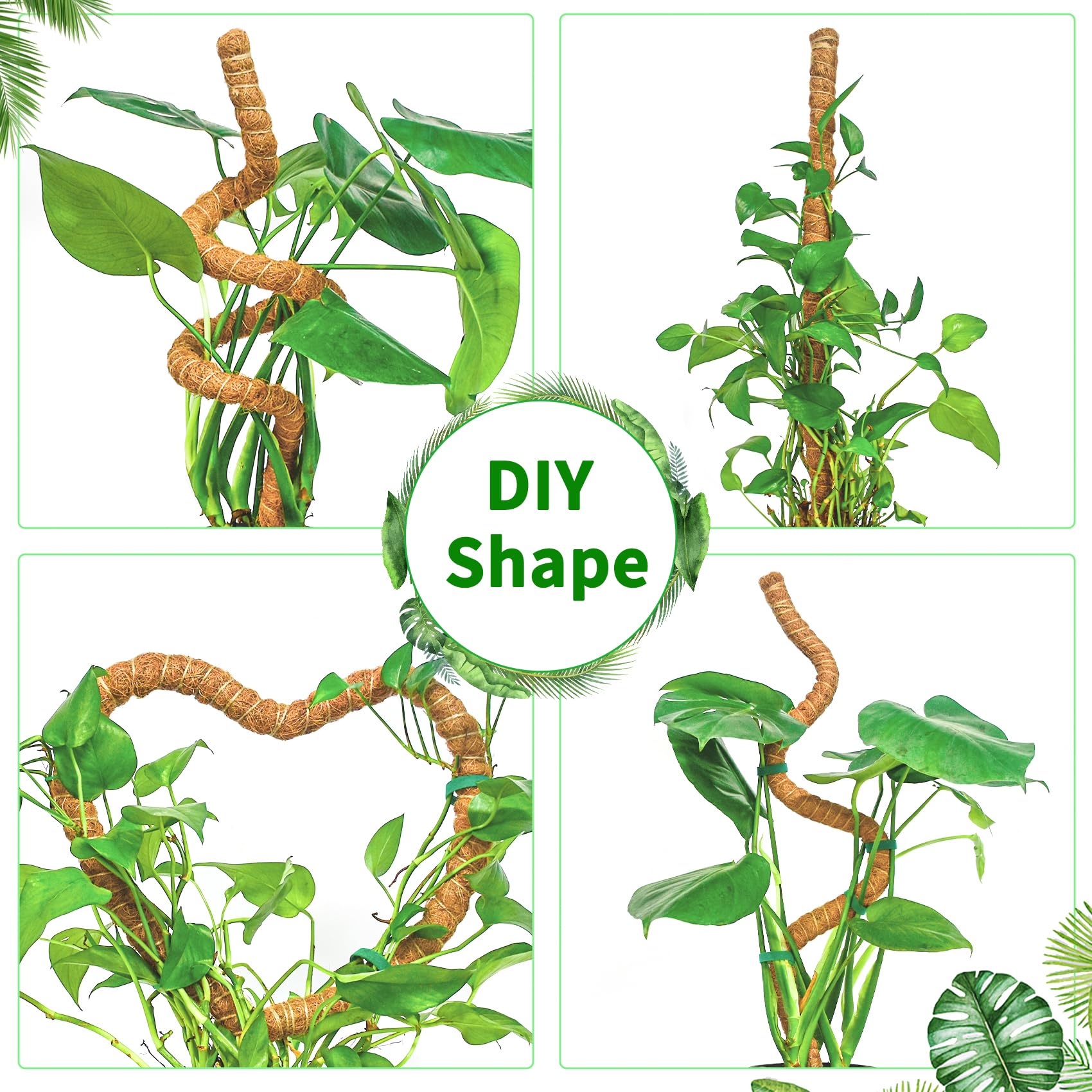 Dimpoo moss pole shaped into an arch with climbing plants