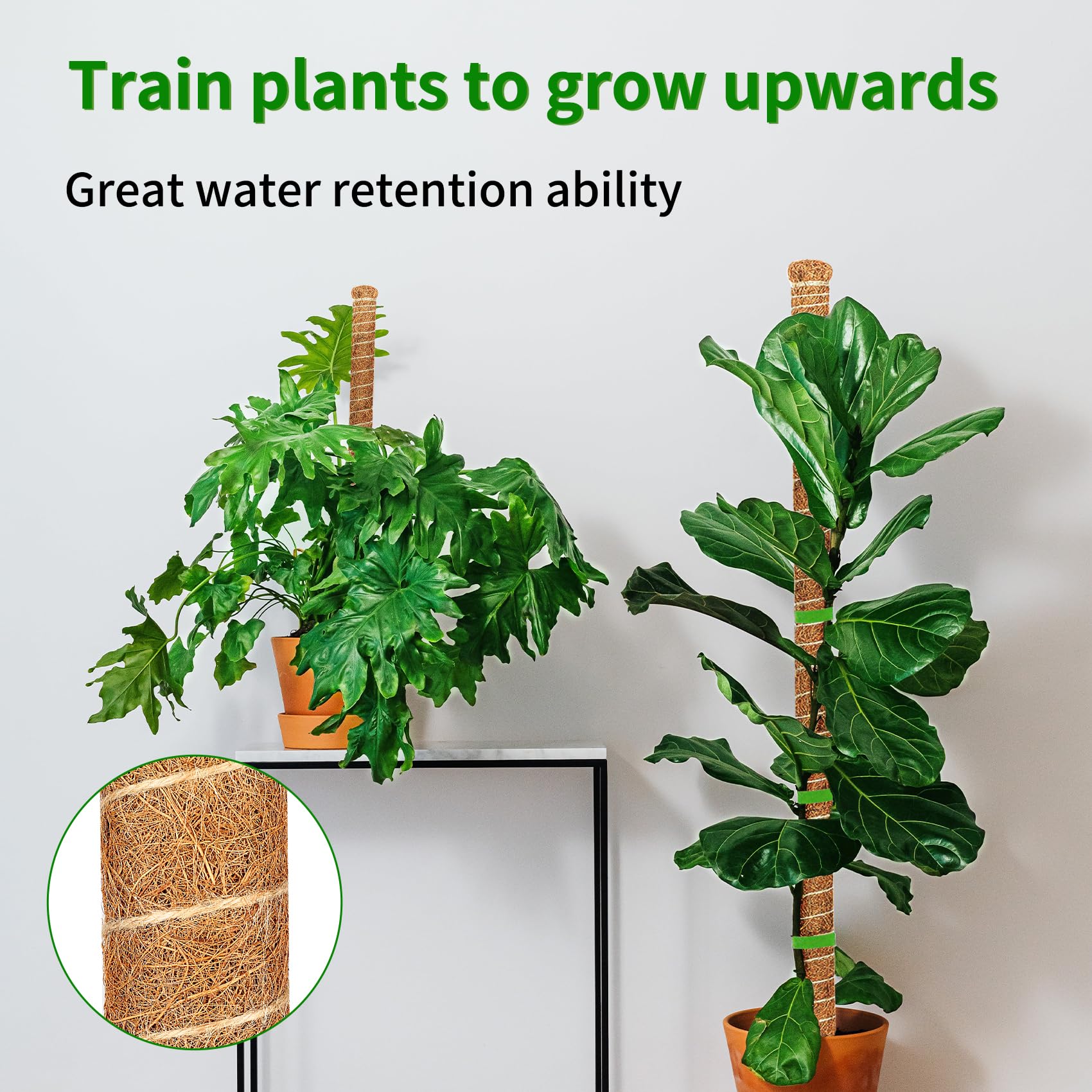 Dimpoo moss pole with jute ropes for plant attachment