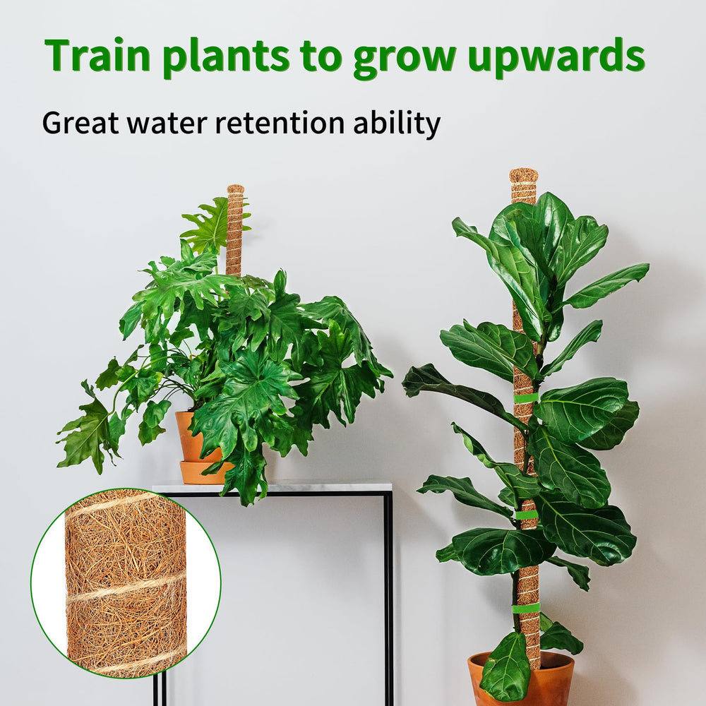 Dimpoo moss pole with jute ropes for plant attachment
