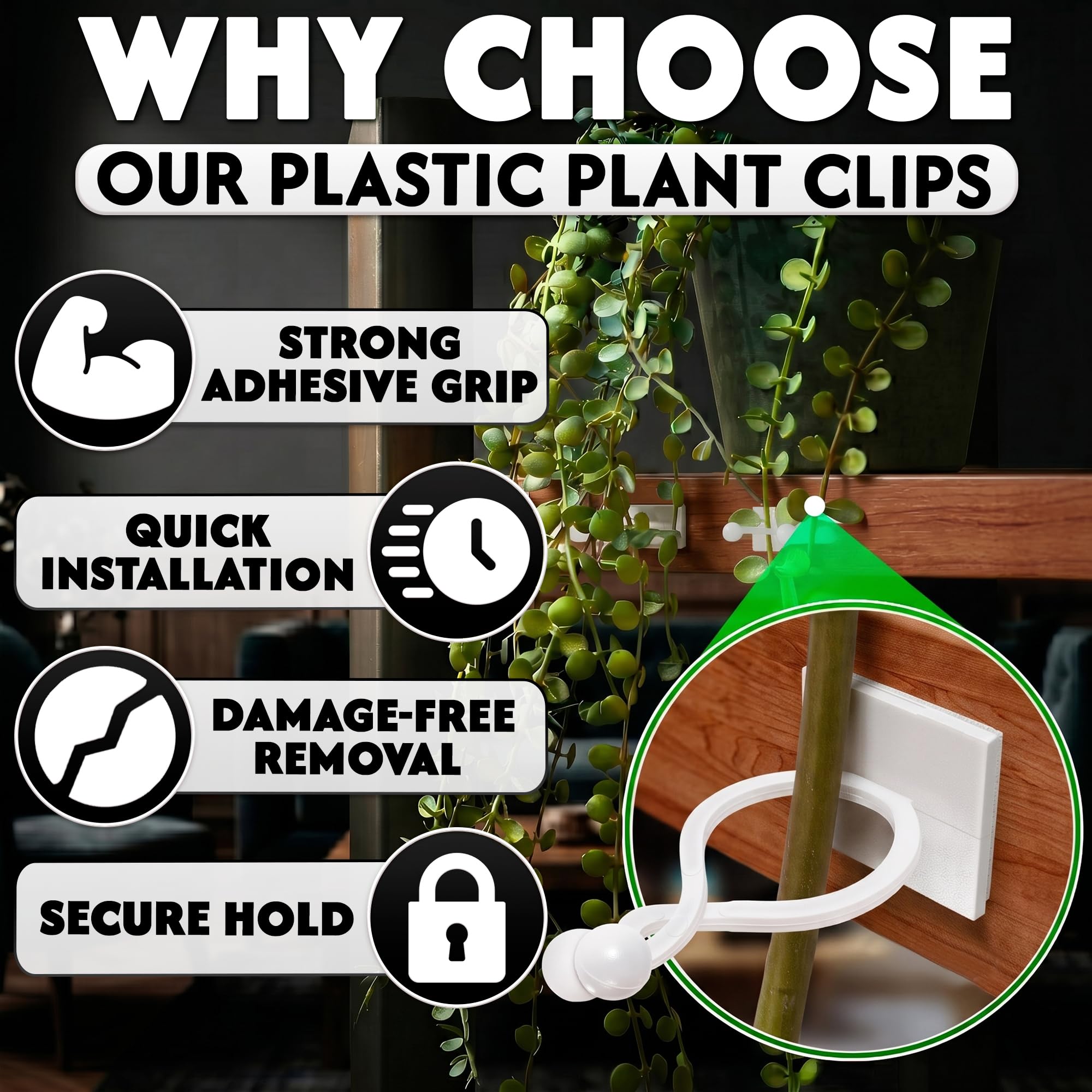 DIMROM plant clips in use on climbing ivy