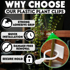 DIMROM plant clips in use on climbing ivy