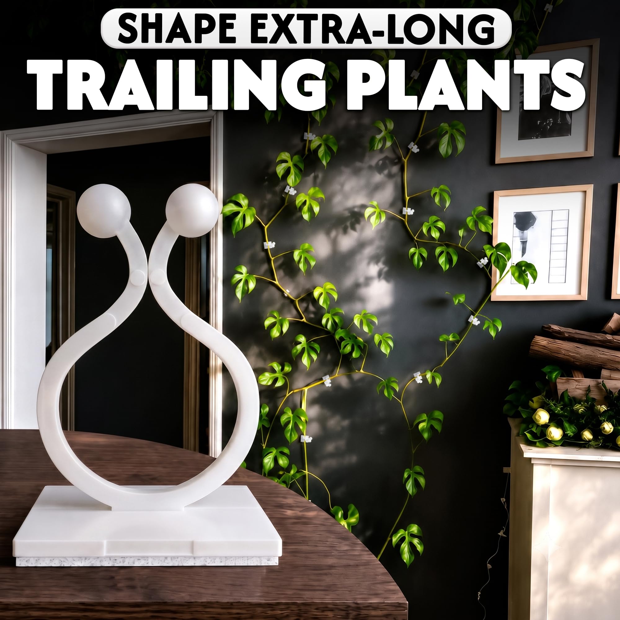 DIMROM plant clips packaging details
