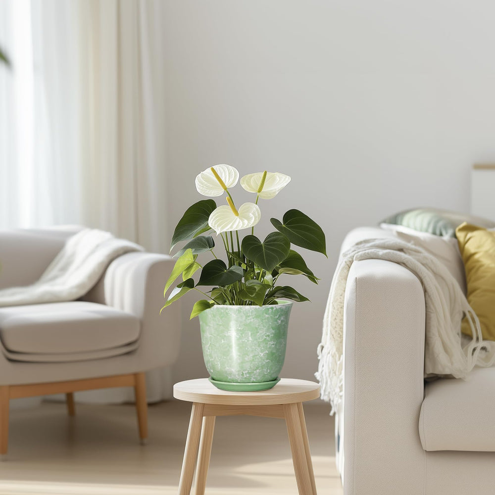Display of SUNPOTFOR Ceramic Plant Pot with various indoor plants